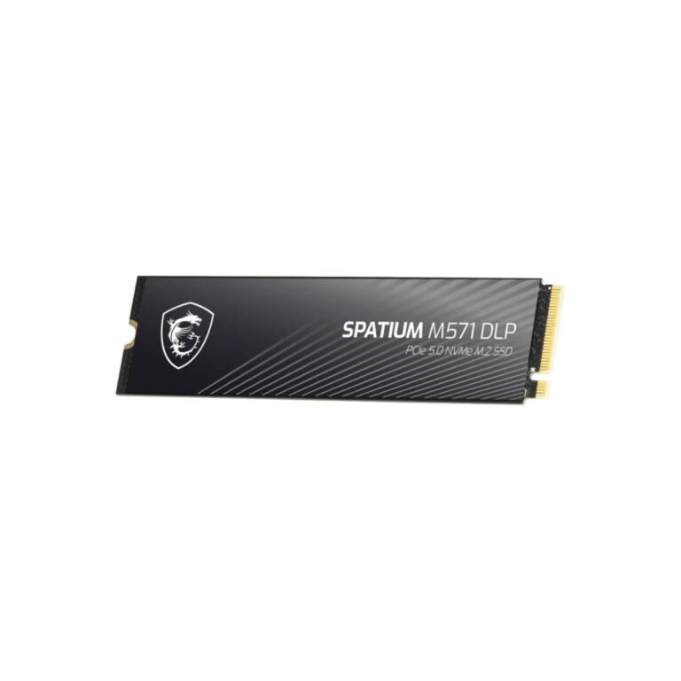MSI SPATIUM M571 DLP 4TB PCIe 5.0 NVMe M.2 SSD - black image-1